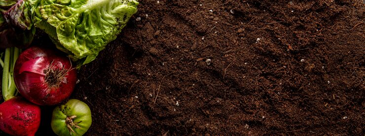 Terre végétale de potager